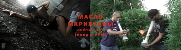 гашик Каменка
