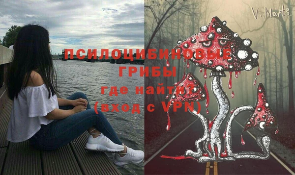 гашик Каменка