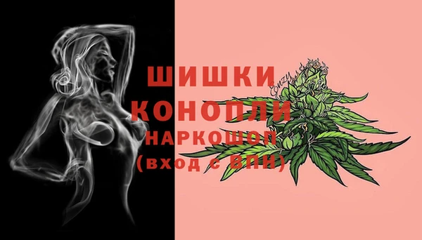 mdpv Каменск-Шахтинский