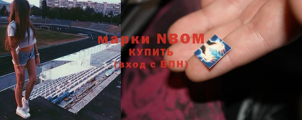 ПСИЛОЦИБИНОВЫЕ ГРИБЫ Каменногорск