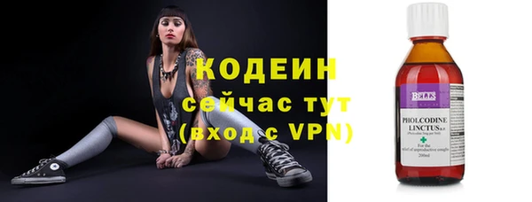 гашик Каменка