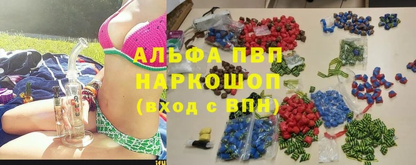 ПСИЛОЦИБИНОВЫЕ ГРИБЫ Каменногорск