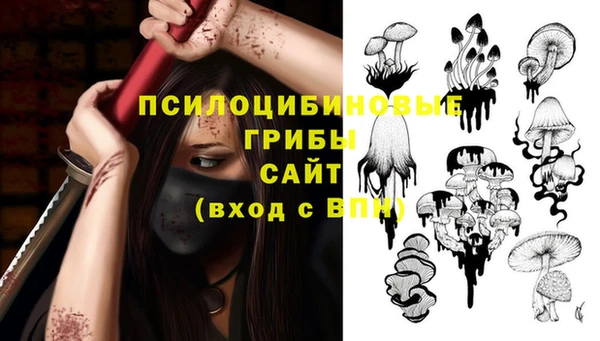 СК Карпинск