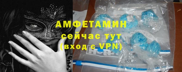 гашик Каменка