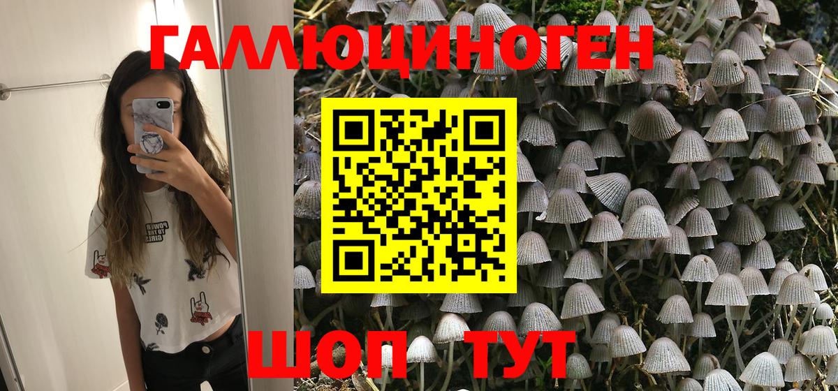 Галлюциногенные грибы Magic Shrooms  Вход с VPN  Мелеуз  Псилоцибиновые грибы Psilocybine cubensis 