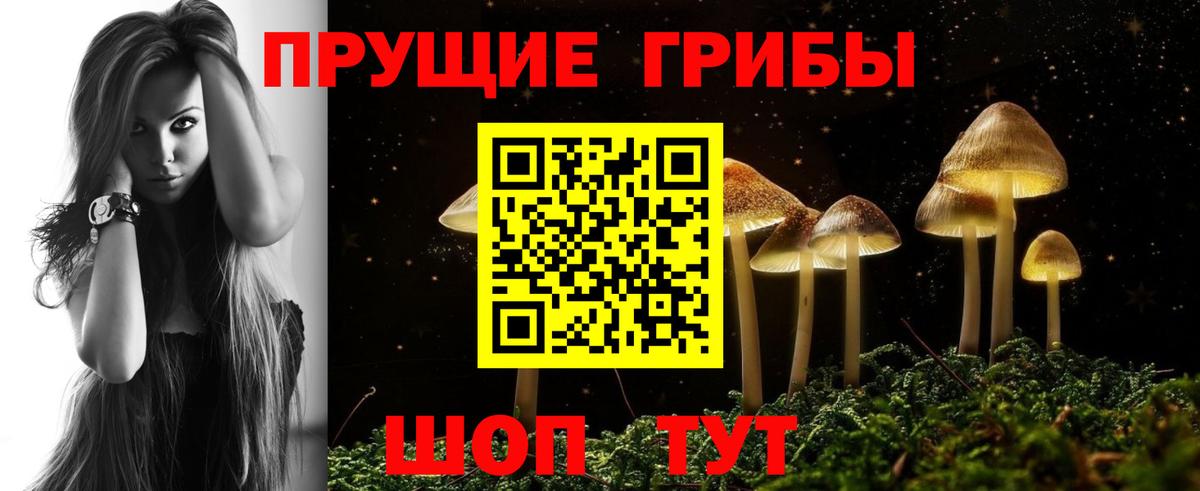 Галлюциногенные грибы GOLDEN TEACHER Мелеуз